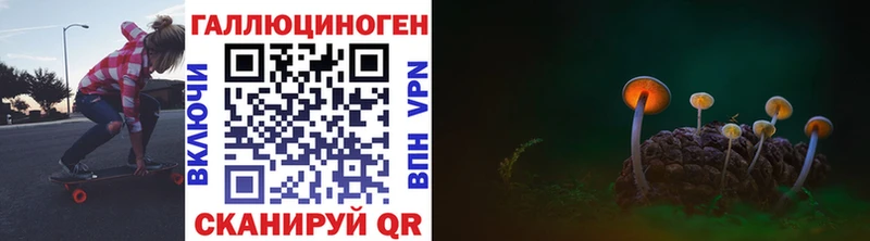 Псилоцибиновые грибы Psilocybe  Москва 