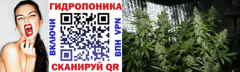 ссылка на мегу сайт Москва Конопля тримм